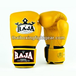 Boxing Muay Thai...