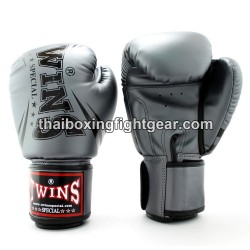 Boxhandschuhe Twins FBGVS3-TW6 "Beginner Edition Silber" | Thaibox Handschuhe