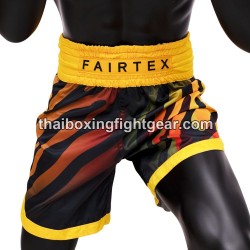 Muay Thai boxen Shorts Fairtex BT2002 | Box hosen