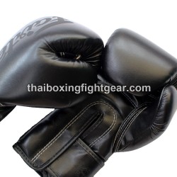 Fairtex Boxhandschuhe BGV1 Schwarz - Neu | Handschuhe